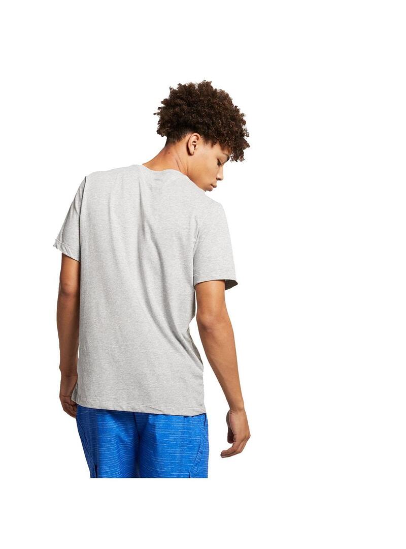 Camiseta Hombre Nike Dri-FIT Gris