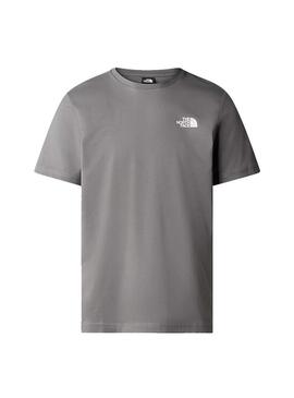 Camiseta Hombre The North Face Red Box Tee Gris