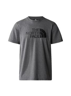 Camiseta Hombre The North Face Easy Gris