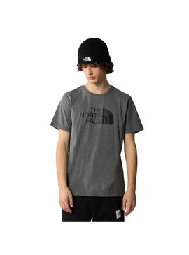 Camiseta Hombre The North Face Easy Gris