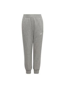 Pantalón Niño Adidas Bregriint Gris