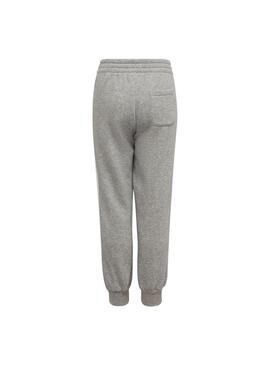 Pantalón Niño Adidas Bregriint Gris