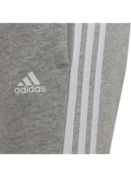 Pantalón Niño Adidas Bregriint Gris