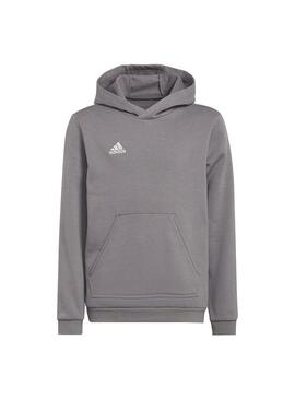 Sudadera Niño Adidas Ent22 Hoody Gris