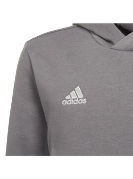 Sudadera Niño Adidas Ent22 Hoody Gris