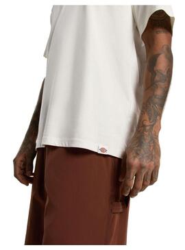 Camiseta Hombre Dickies Outdoor Beige