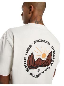 Camiseta Hombre Dickies Outdoor Beige