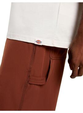 Camiseta Hombre Dickies Landscape Beige