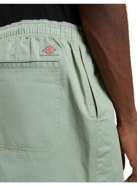 Bermuda Hombre Dickies Pelican Rapids Verde