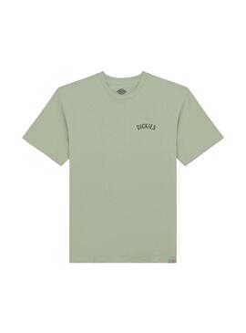 Camiseta Hombre Dickies Snake Verde