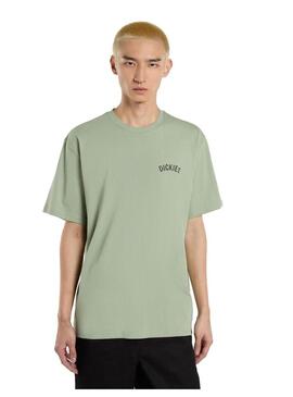 Camiseta Hombre Dickies Snake Verde