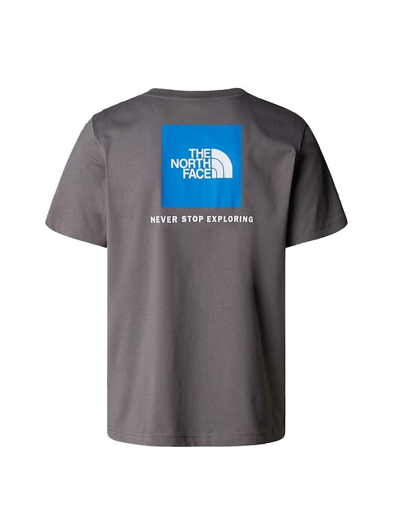 Camiseta Hombre The North Face RedBox Gris Azul