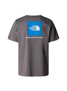 Camiseta Hombre The North Face RedBox Gris Azul
