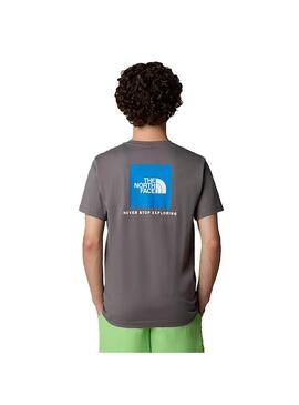 Camiseta Hombre The North Face RedBox Gris Azul