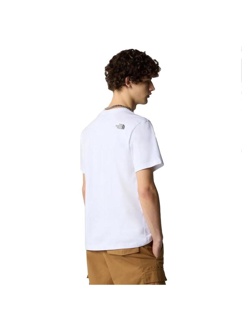 Camiseta Hombre The North Face  Mountain Line Beige