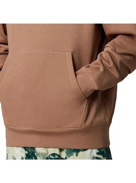 Sudadera Hombre The North Face Essentials Marron