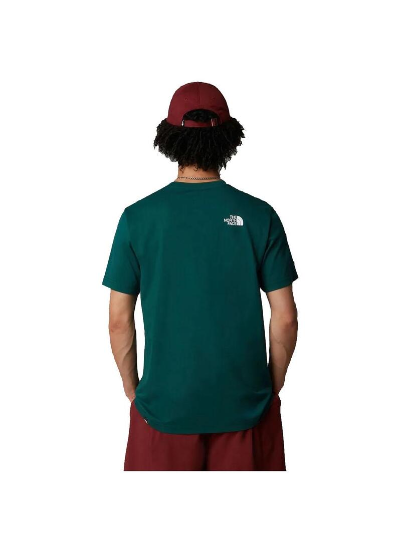 Camiseta Hombre The North Face Simple Dome Verde