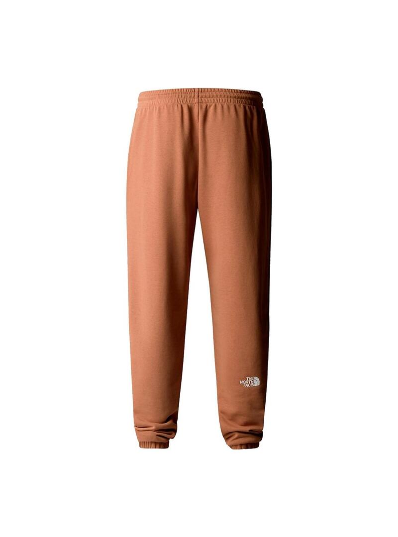 Pantalon Hombre The North Face Simple Dome Marron