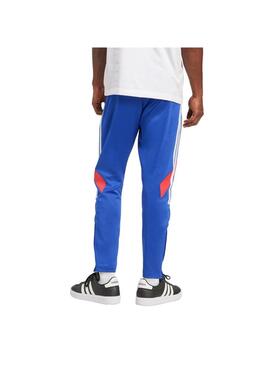 Pantalón Hombre adidas Tiro CB Royal