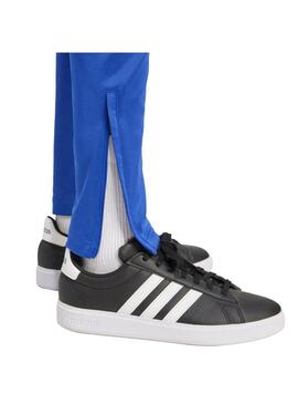 Pantalón Hombre adidas Tiro CB Royal