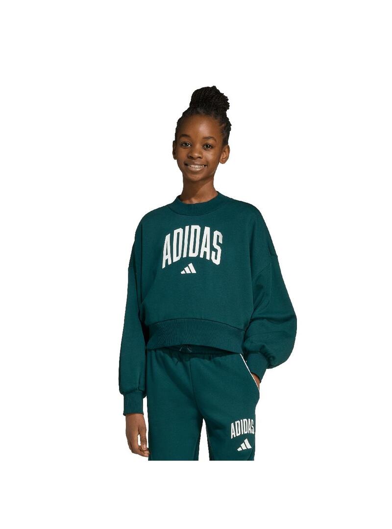 Sudadera Niño/a adidas Seasionals Essentials Verde