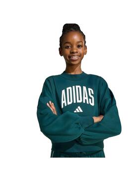 Sudadera Niño/a adidas Seasionals Essentials Verde