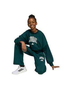 Sudadera Niño/a adidas Seasionals Essentials Verde