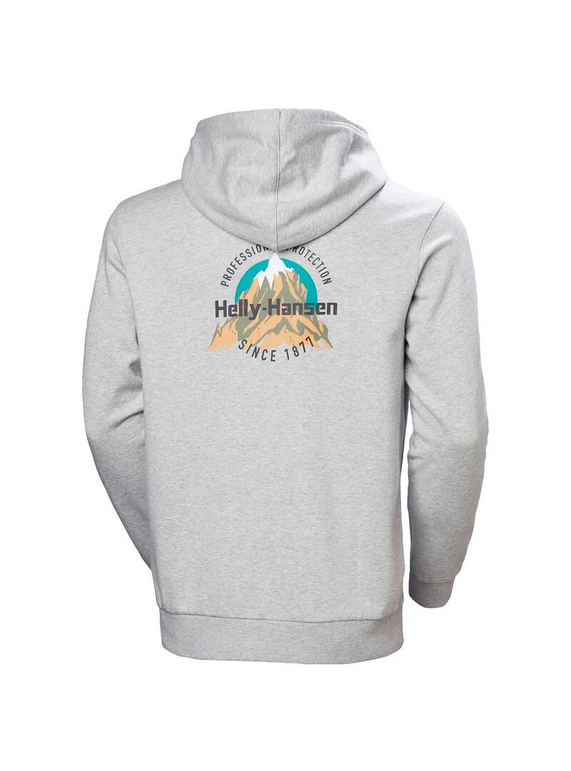 Sudadera Hombre Helly Hansen Core Graphic Gris