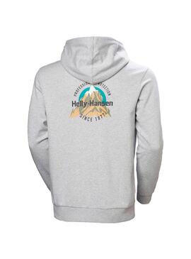 Sudadera Hombre Helly Hansen Core Graphic Gris