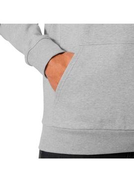 Sudadera Hombre Helly Hansen Core Graphic Gris