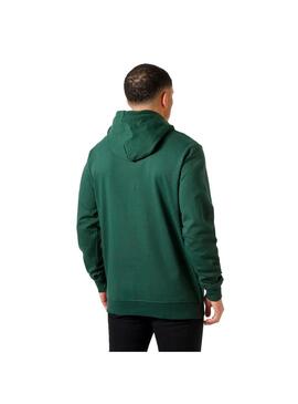 Sudadera Hombre Helly Hansen Nord Graphic Verde
