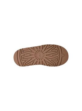 Zueco Mujer UGG Tazz II Chestnut Marron