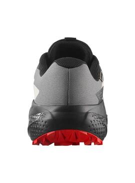 Zapatilla Hombre Salomon Alphaglide GTX Rojo