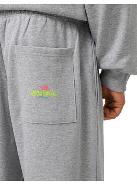 Pantalon Hombre The North Face Expedition Gris