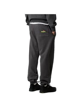 Pantalon Hombre The North Face Expedition Gris Oscuro