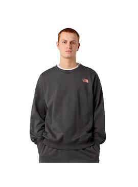 Sudadera Hombre The North Face Expedition Gris