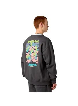 Sudadera Hombre The North Face Expedition Gris