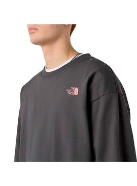 Sudadera Hombre The North Face Expedition Gris