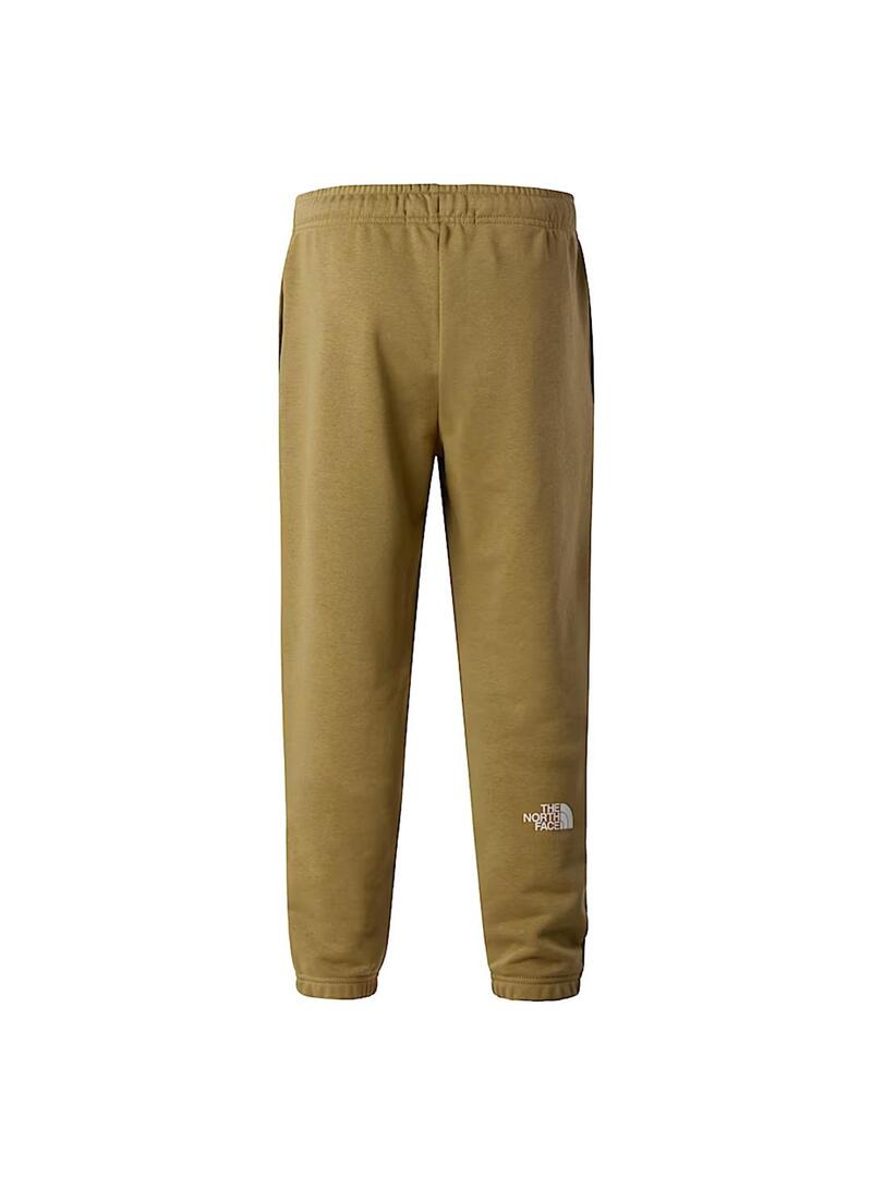 Pantalon Niño/a The North Face Simple Dome Verde