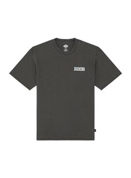 Camiseta Hombre Dickies Buchtell Gris
