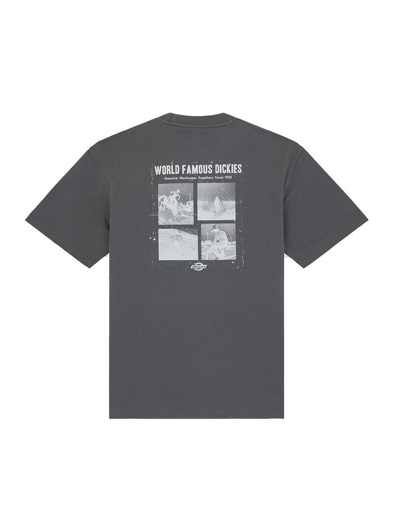 Camiseta Hombre Dickies Wolfhurst Gris Oscuro
