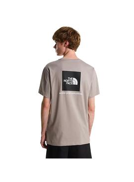 Camiseta Hombre The North Face NSE Box Evo Gris