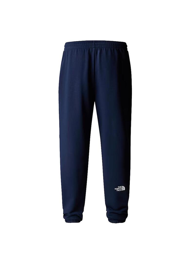 Pantalon Hombre The North Face Simple Dome Azul